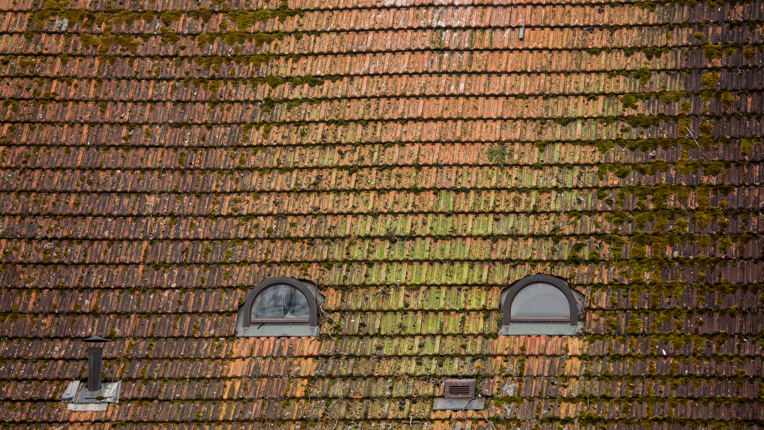 20110313133416 IMG 7257